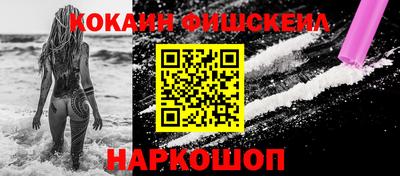 гашик Гатчина