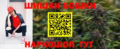 гашик Гатчина