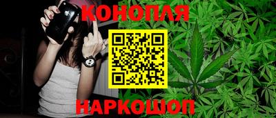гашик Гатчина