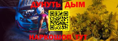 гашик Гатчина