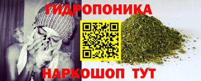 гашик Гатчина