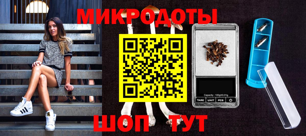 Псилоцибиновые грибы Magic Shrooms Дербент